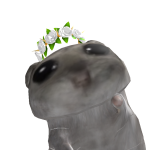 @fernj14