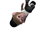 @MrChickdoge76