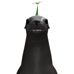 @1orange7