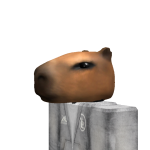 @JJdoxed