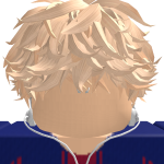 @iiMxlt_RBLX