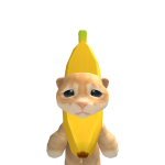 @Catgod4571