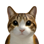 @DDGplayzROBLOX