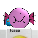 @lucapio08yt