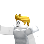 @project_zorgo34567