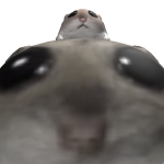 @damian83823