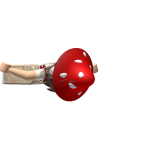 @MushroomdoesToca