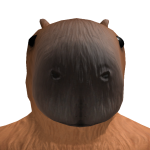 @Guineapigtoo