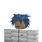 @roblox_user_2335273016