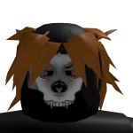 @Robloxsupport_1311