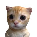 @Vrentplayz123