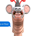 @S0ccerW0rm03