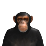 Mangeur2poundou6