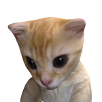 @mercu_rayyy