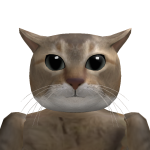 @knownasveenus