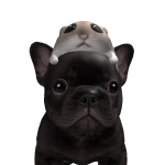 @DanixGamer157