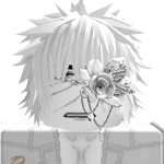 @17OrangesS
