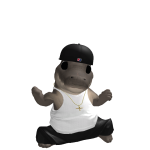 @martinrodrizc