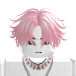 @nabi_robloxcat