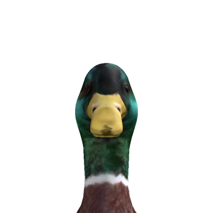 Roblox avatar