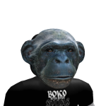 @Geozero1012