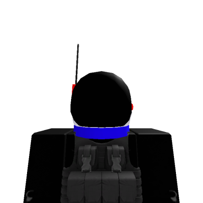 Roblox profile picture for @acs