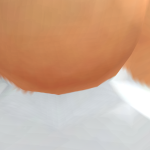 synek20