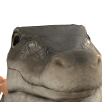@zigimigio