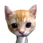 @DabiCato