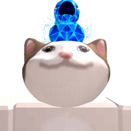 catface02011