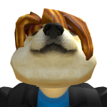 @123jdiraisdoge