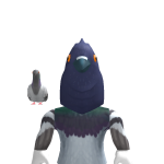@810hato810