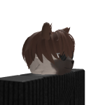 @mrmeowsgaming1