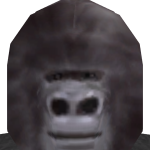 @DevMonkeyyy