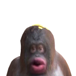 dale