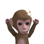 @holl1es