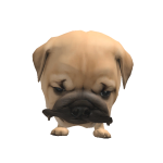 @caverly01