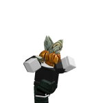 @truerobloxplayernot