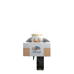 @BigMaskotYano