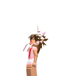 @roblox_user_1323383203