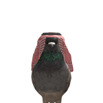 @miqdad8509