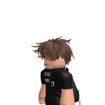 @DeveloperMani