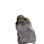 @Dummy20243