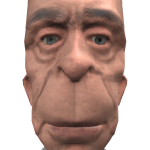 pipi