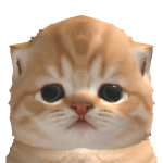 @Papa_Kiddo