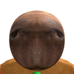 @LoekRBLX