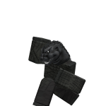 @w0ngsss