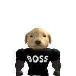 @jav1e4xd
