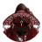 rook11302