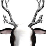 @CowFullOfJoy